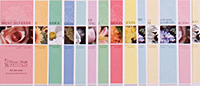 Brochures